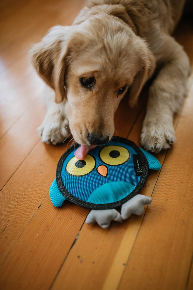 Hyper Pet Firehose Flyers Owl Durable Squeaky Dog Toy Grey 7.5 x 1.2 x 8.2 inches - Image 4